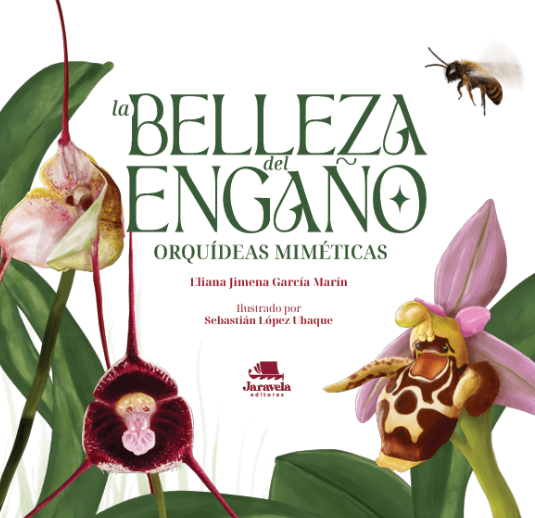 La belleza del engaño